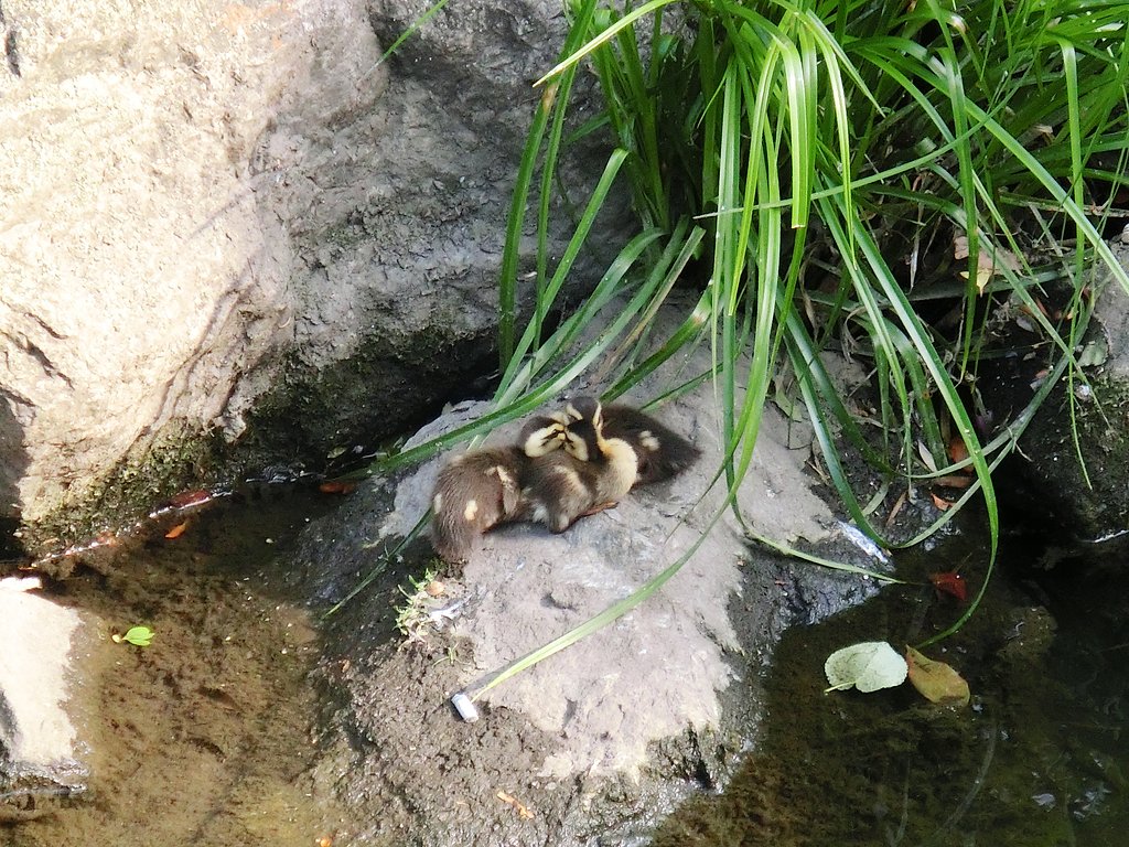 極秘会談中