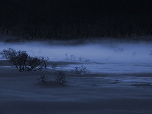 朝靄の中から・・・