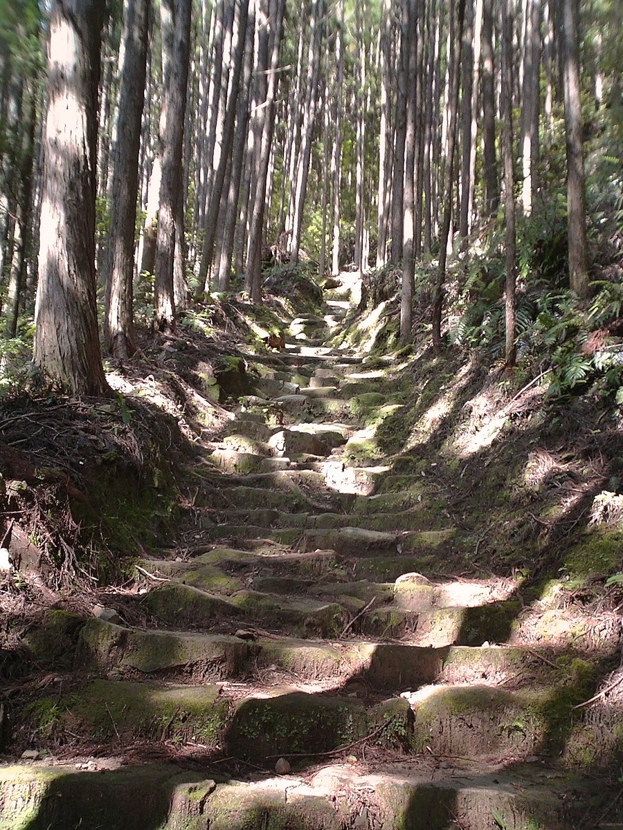（わびさび）熊野古道