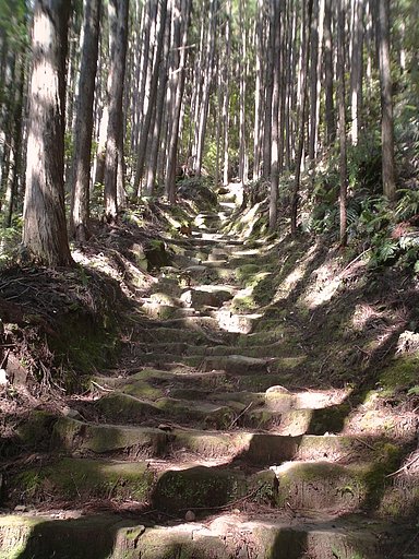 （わびさび）熊野古道