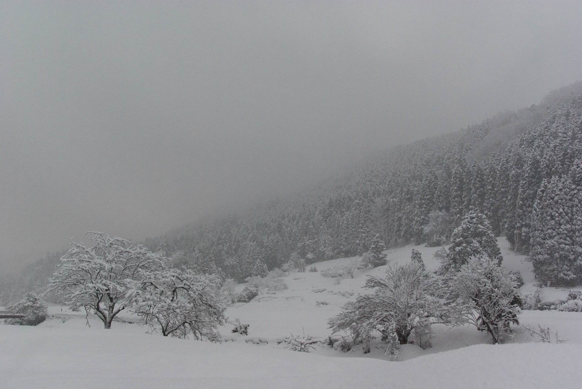 吹雪の日の出前。
