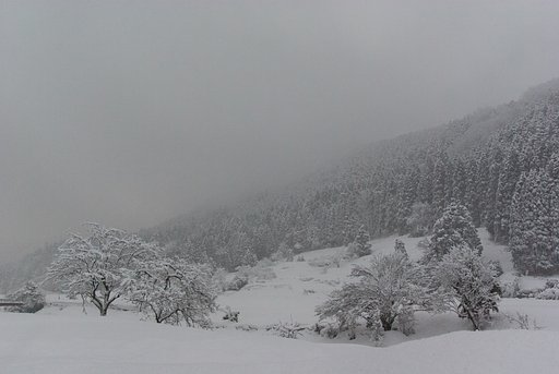 吹雪の日の出前。