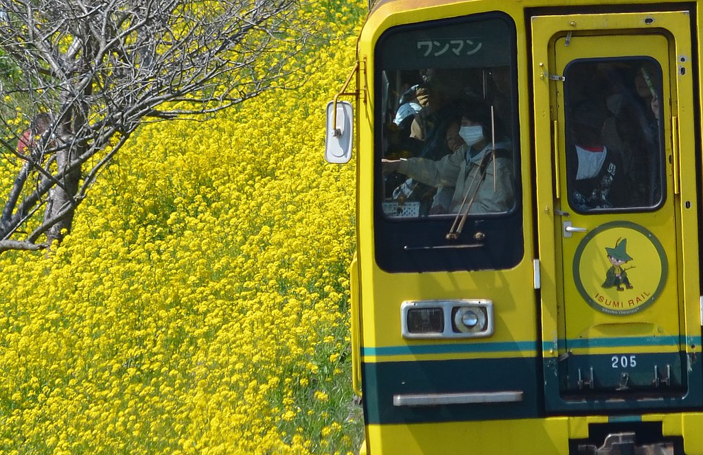 菜の花列車