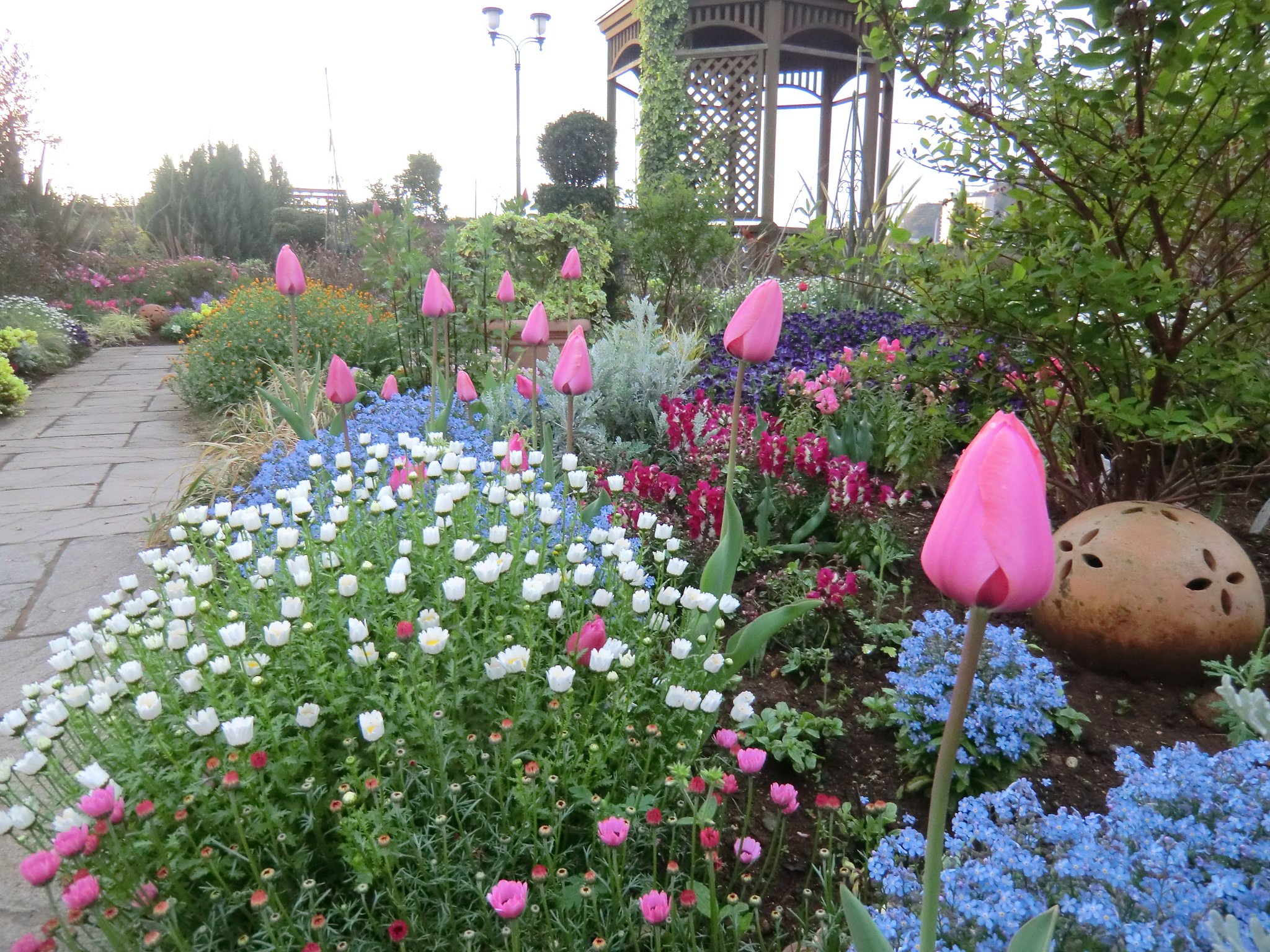 百花繚乱の花壇
