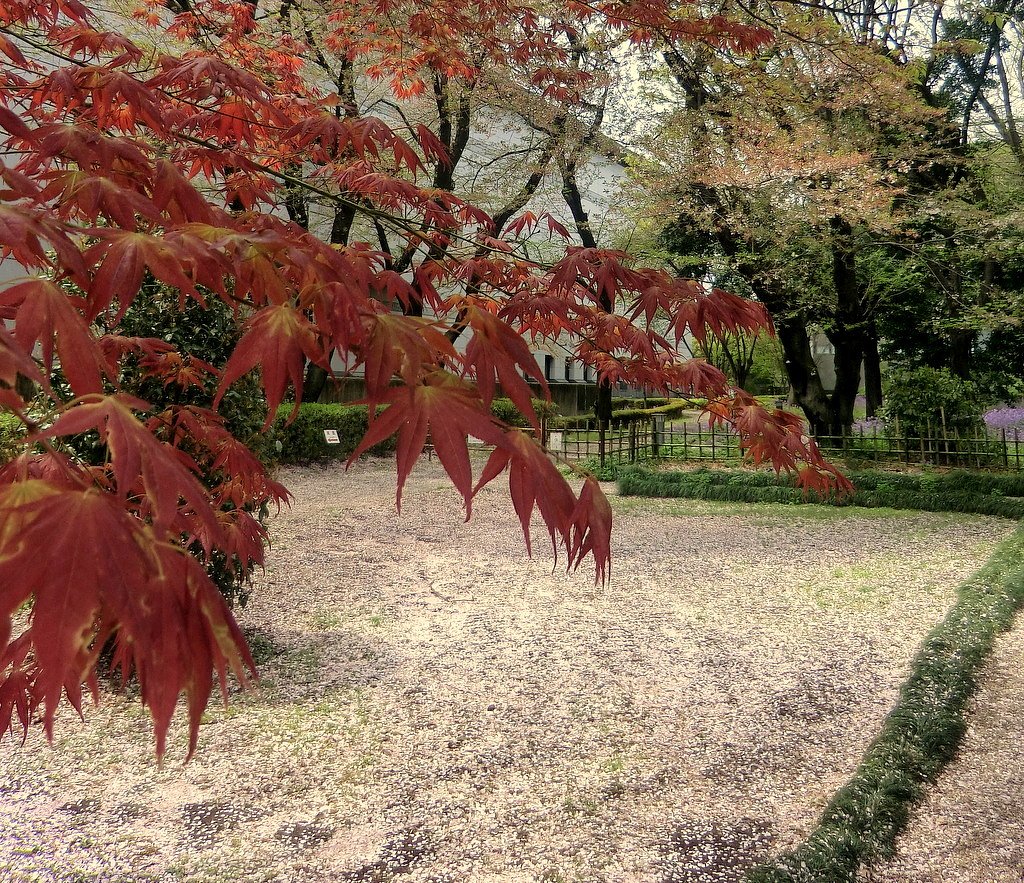 国立博物館庭園風景