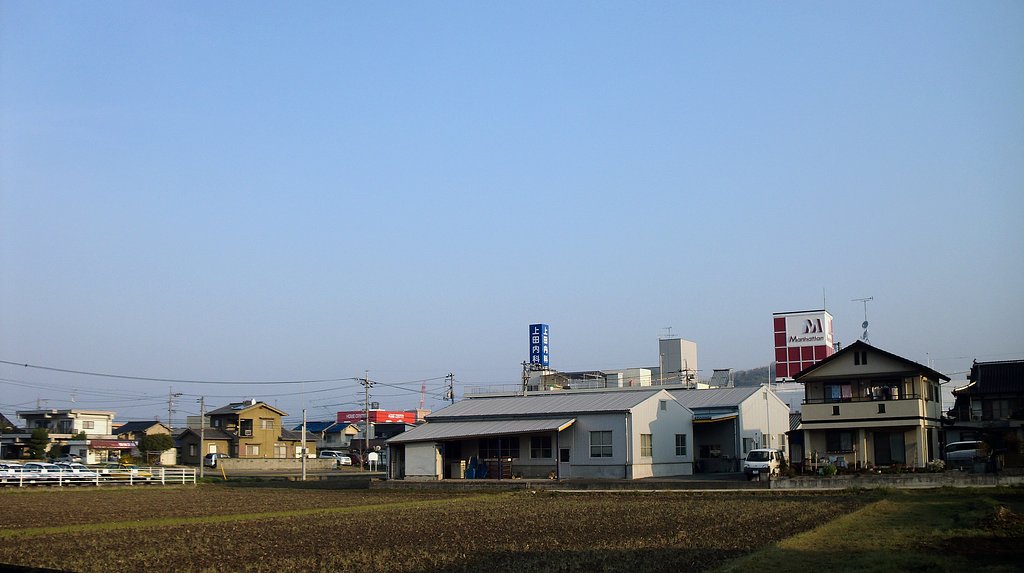 晴れました