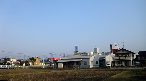 晴れました