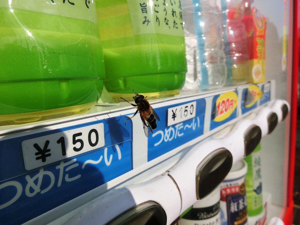 のどが渇いた・・