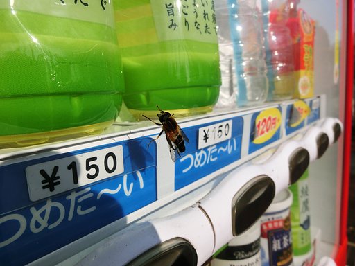 のどが渇いた・・