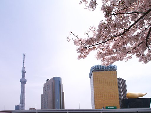 【淡彩】花見で乾杯・・・