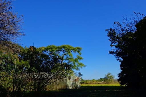 風景