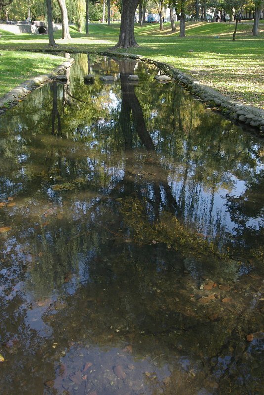 水面に映る．．．