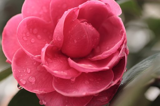 雨上がり