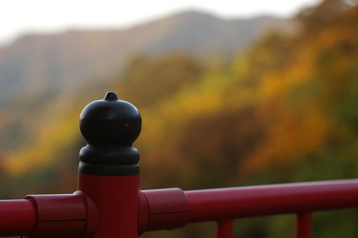 そうだ、京都へ行こう・・・・には見えないかな