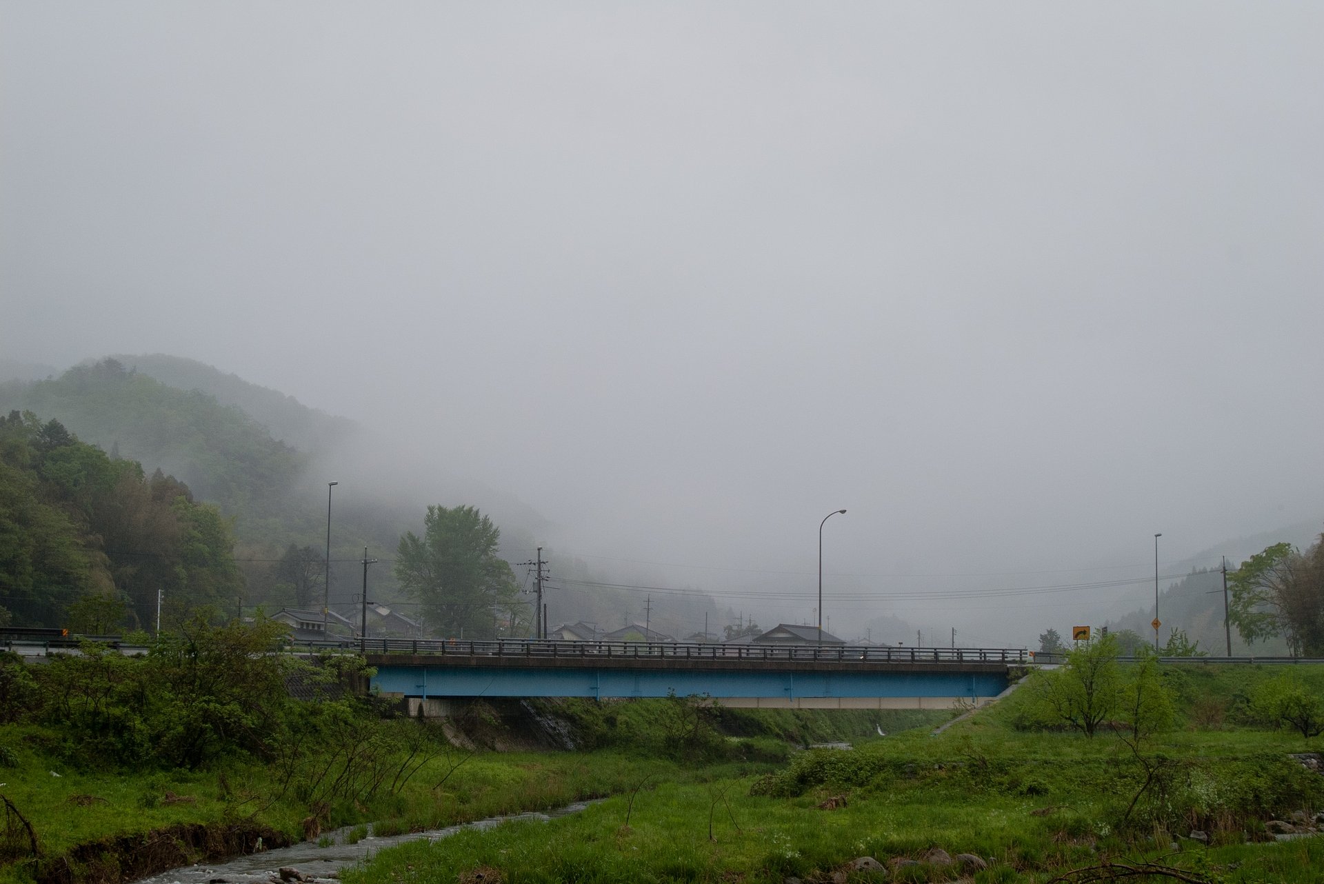 雨降りの朝です。