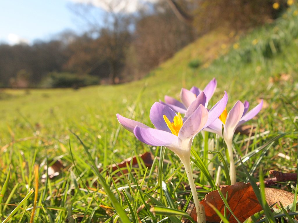 Spring has come to the northern country!