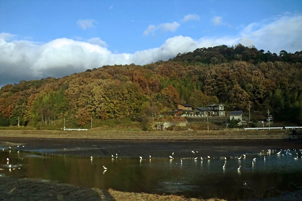 干上がった池