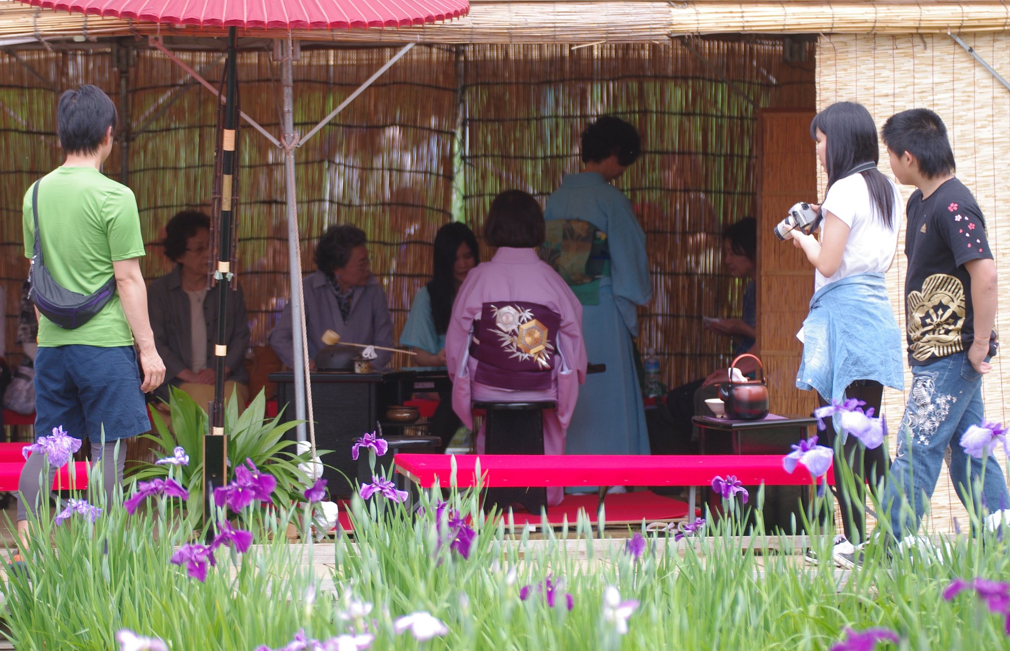 【日本】 〜菖蒲まつり〜にて　野点