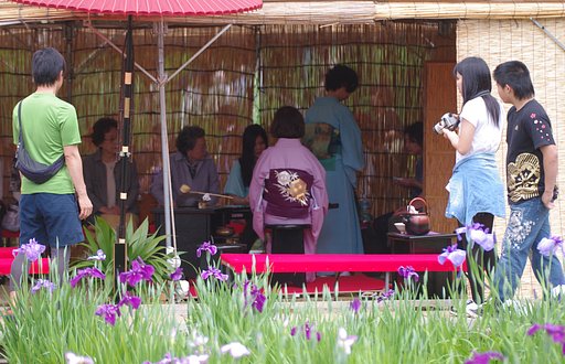 【日本】 〜菖蒲まつり〜にて　野点