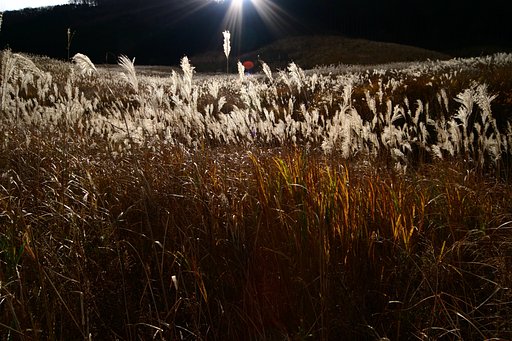 SIGMA12-24mmF4.5-5.6DG HSM