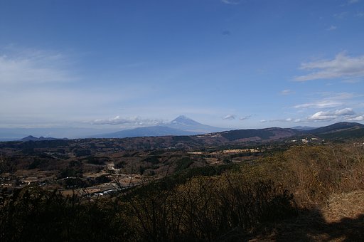 山
