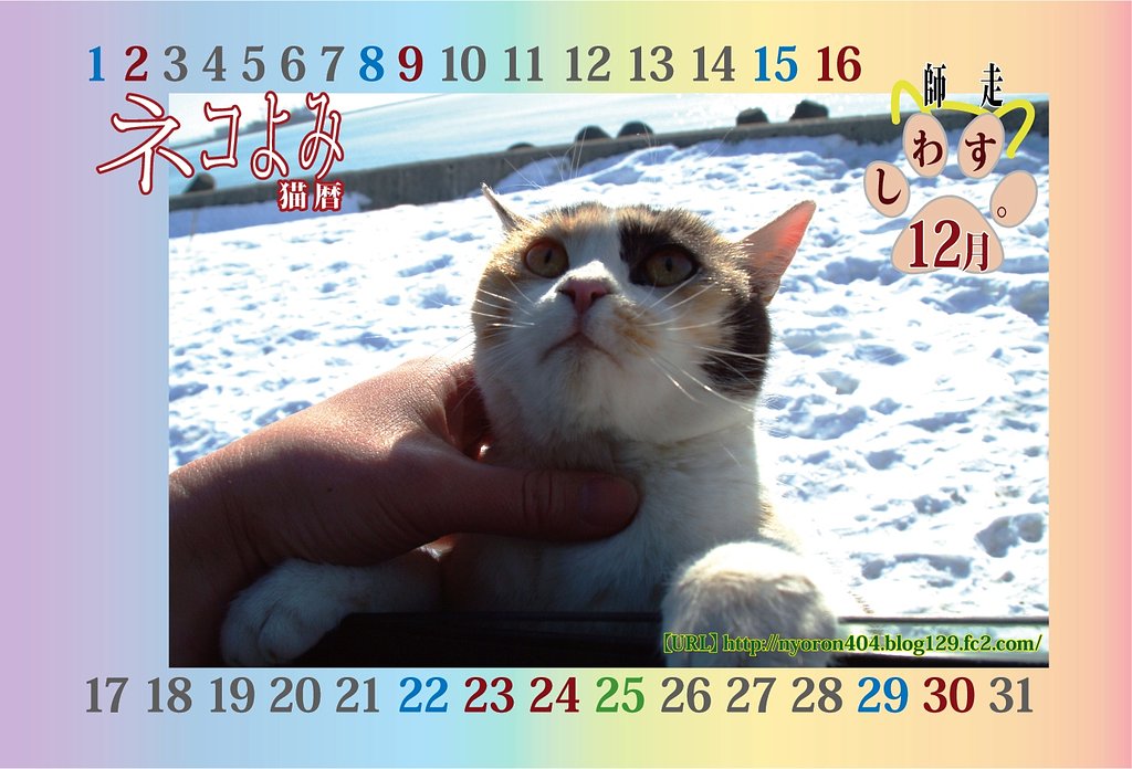 ねこよみ・・・師走。。。