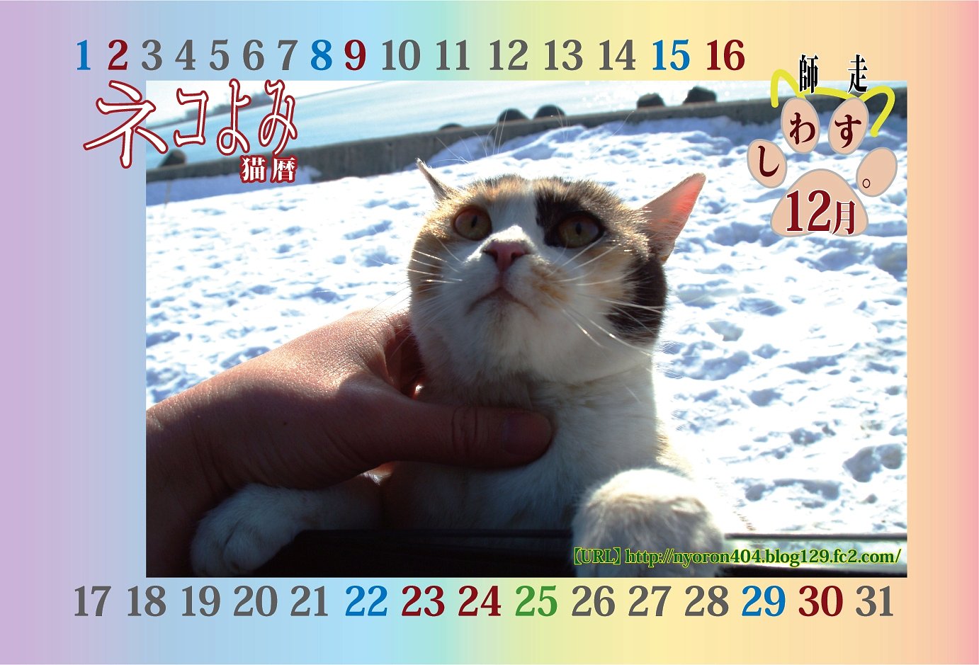 ねこよみ・・・師走。。。