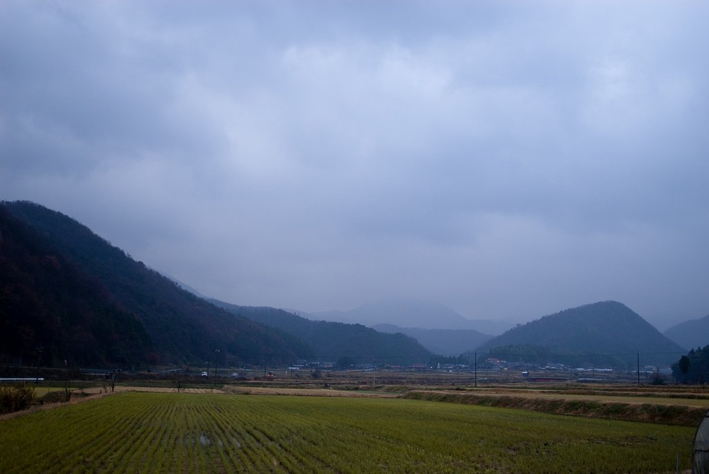 雨やミゾレが・・。