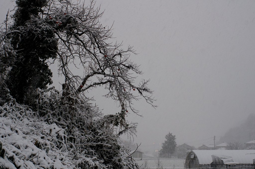 吹雪が・・。