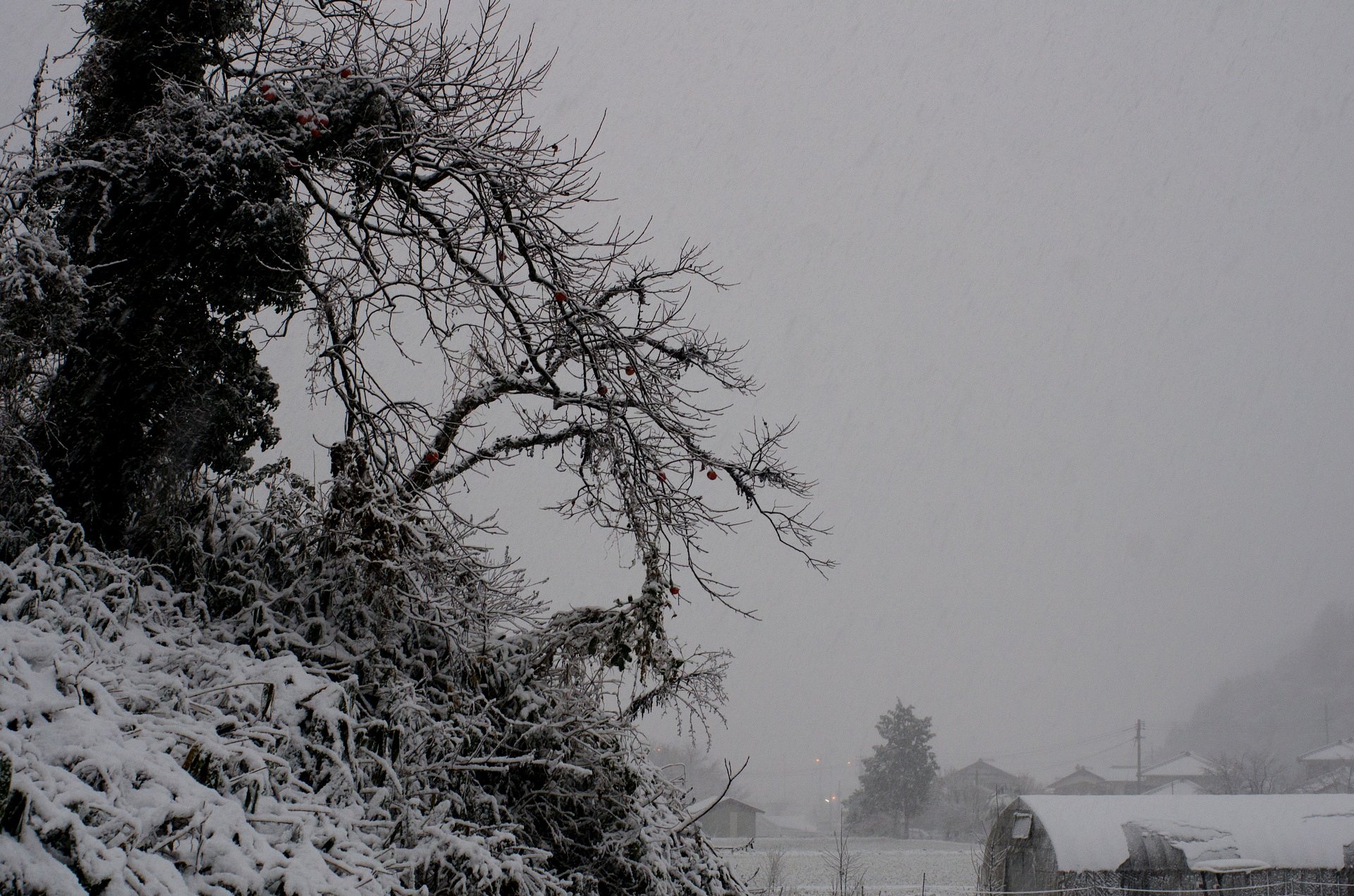 吹雪が・・。
