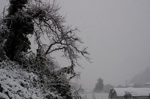 吹雪が・・。