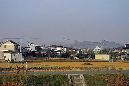 靄った朝
