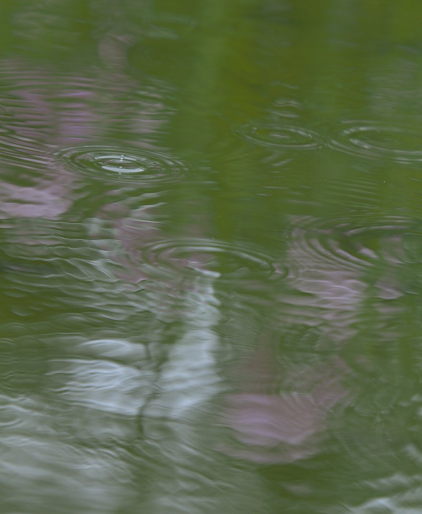 水紋