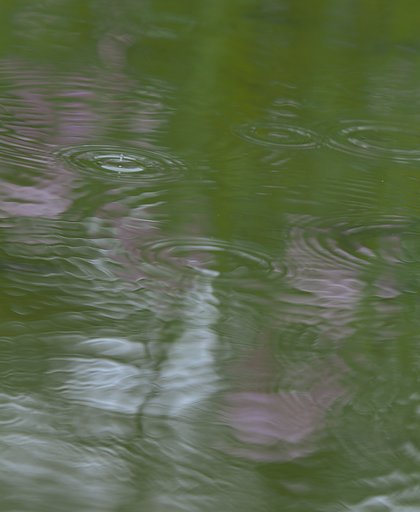 水紋