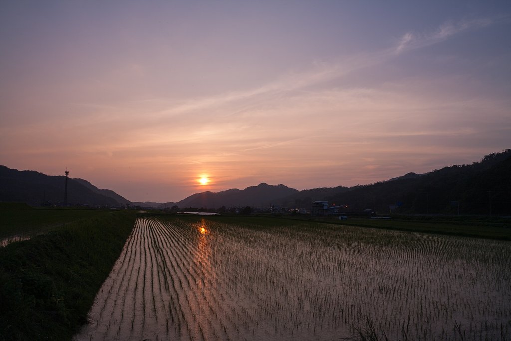午後ははれて夕焼けに。