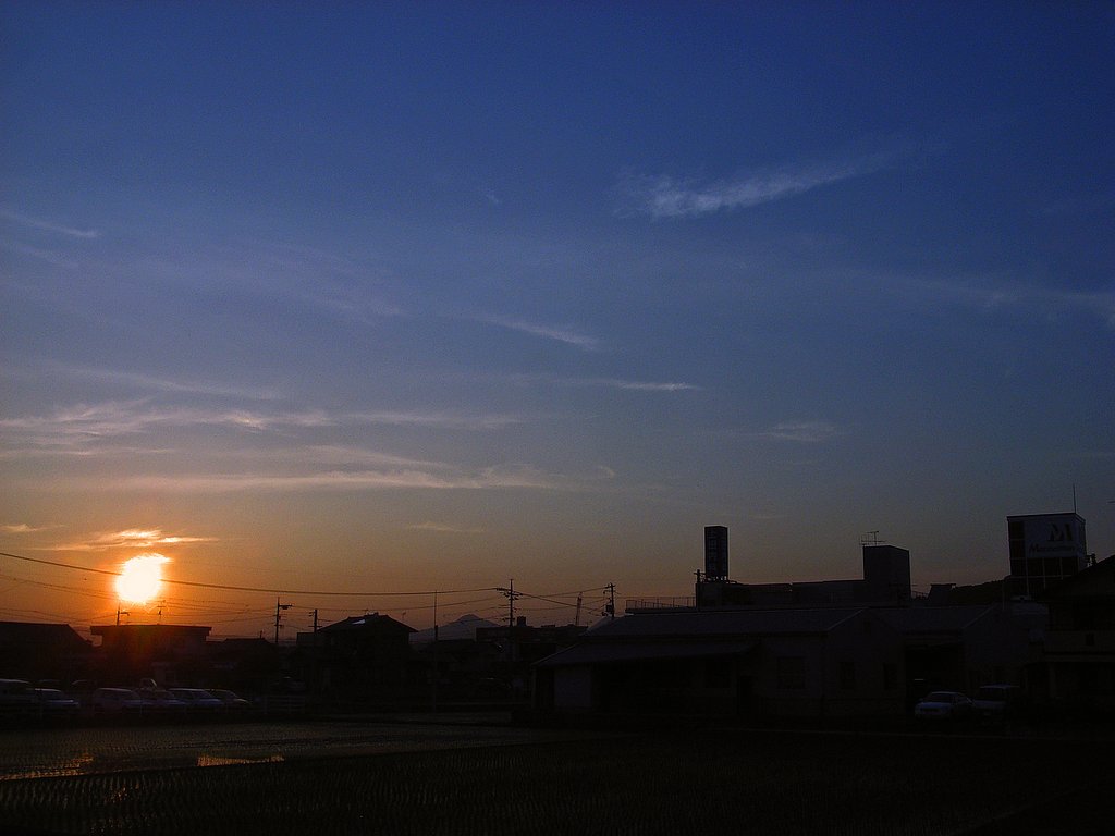 夕日