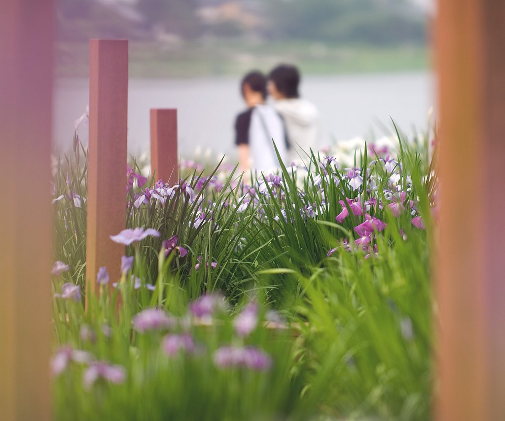 初夏の誘い
