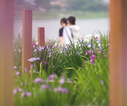 初夏の誘い