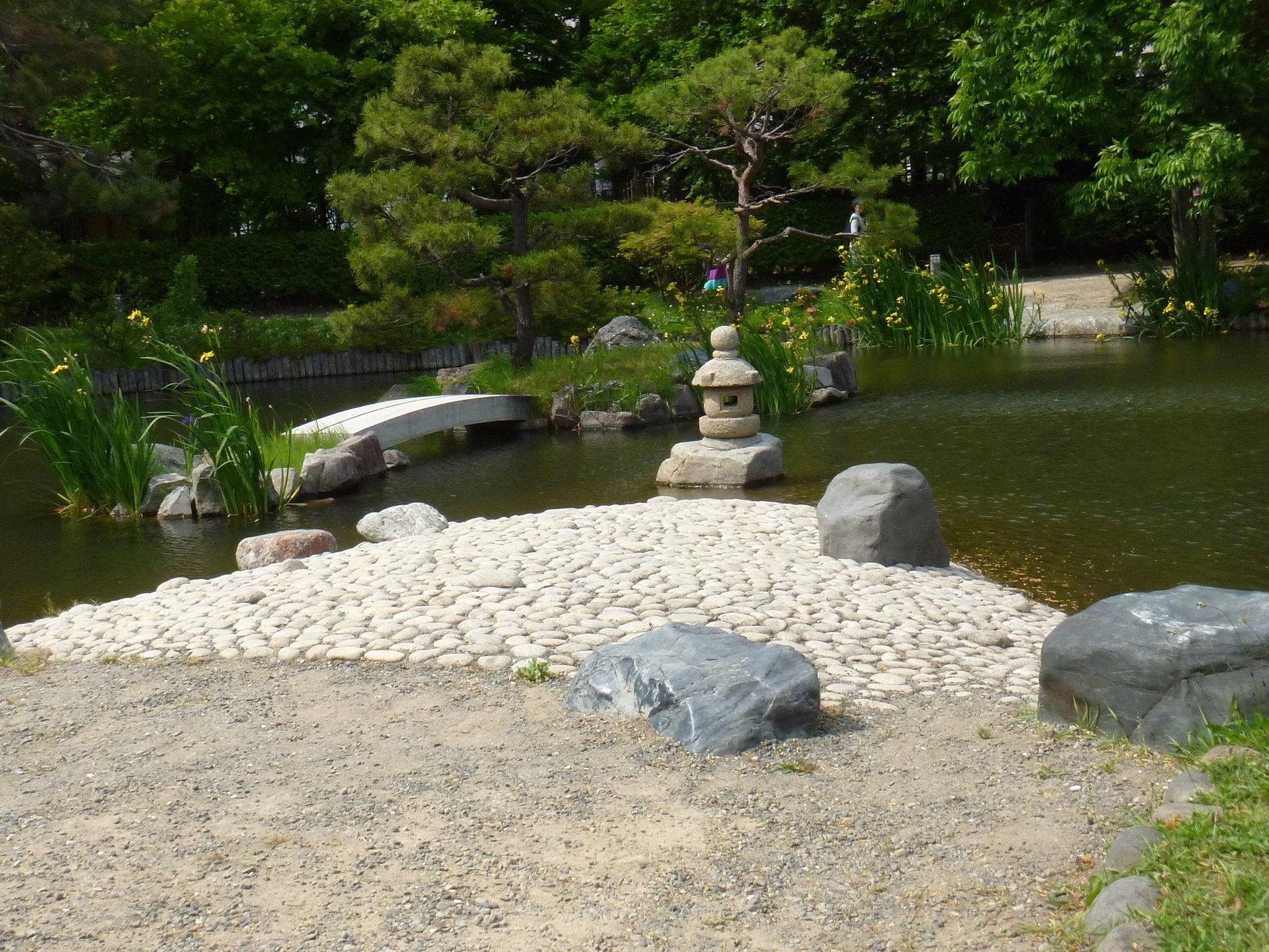 公園の池