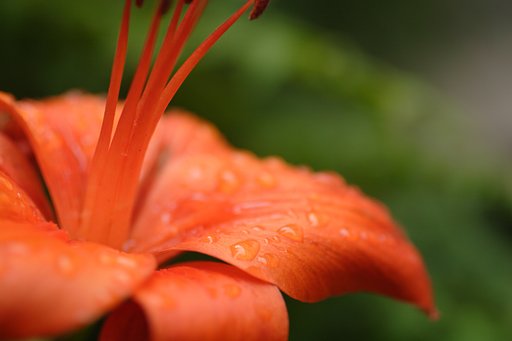 雨滴