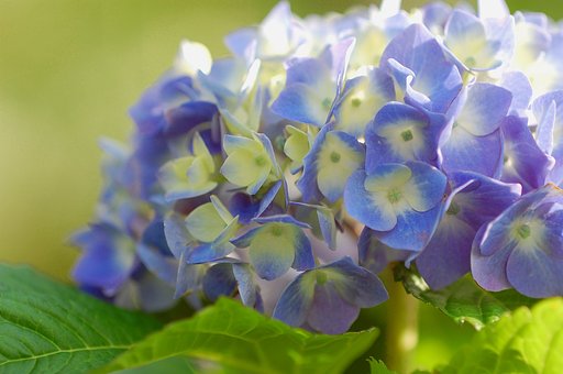 D40って・・・・