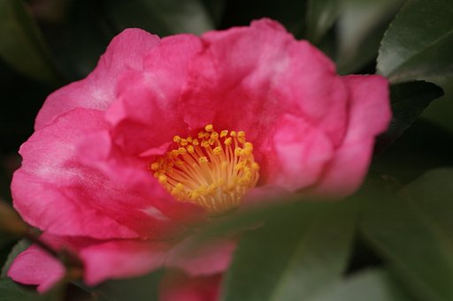 12月21日の写真
