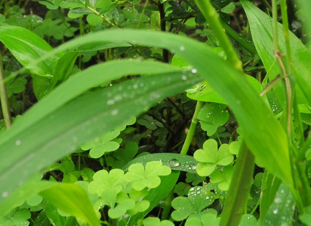 水滴