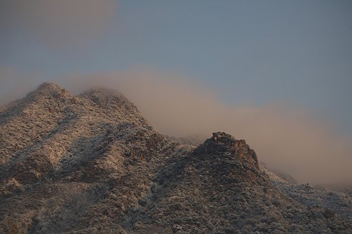 雪が降りました