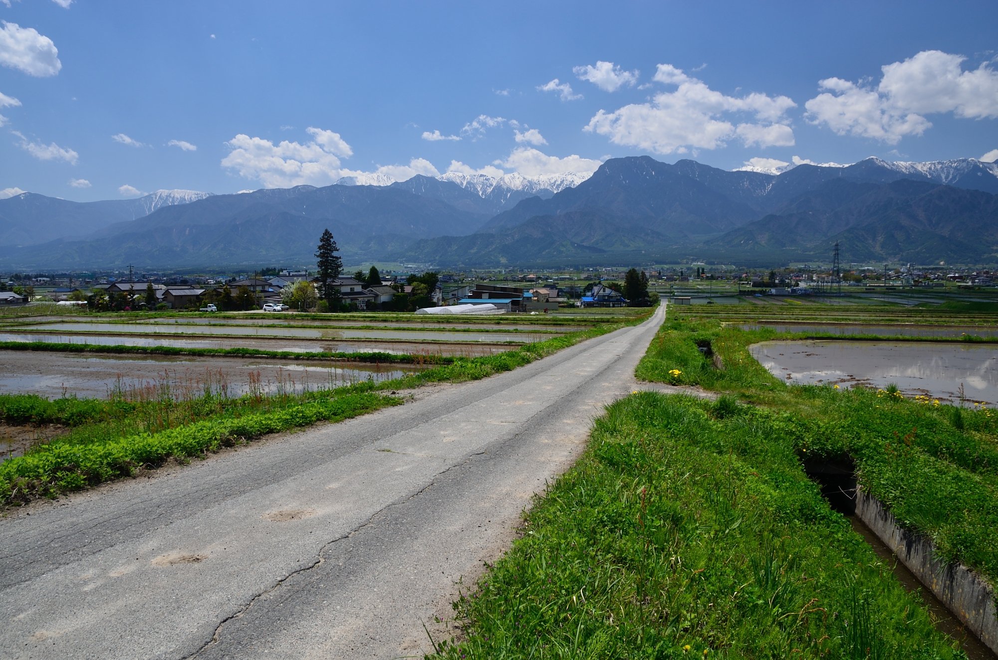 有明山に続く道