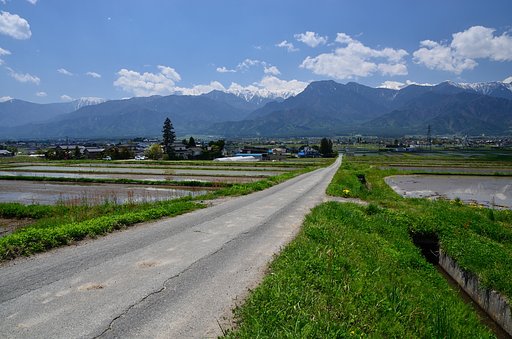 有明山に続く道