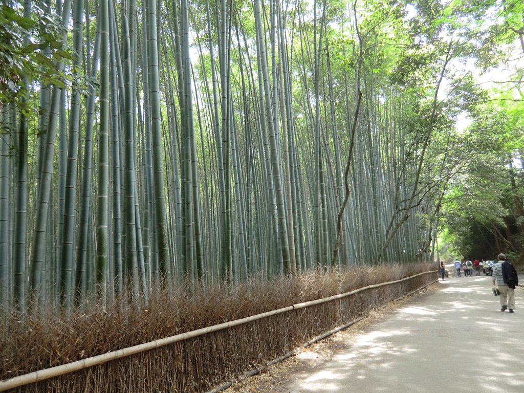 大河内山荘庭園へ