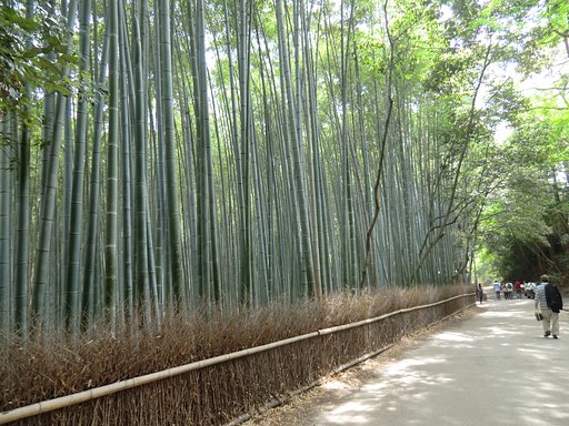 大河内山荘庭園へ