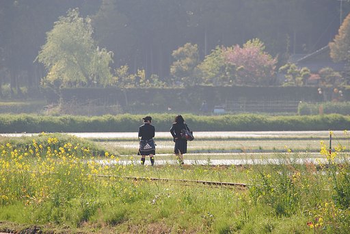 【淡彩】　帰り路
