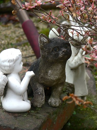 ・・・子猫と天使・・・
